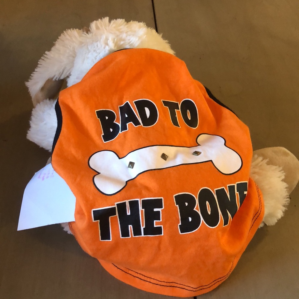 Bad to the Bone - Halloween Dog Costume - Picture 1 of 6
